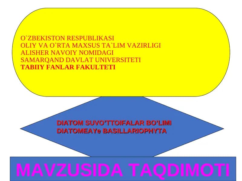 DIATOM SUVO’TTOIFALAR