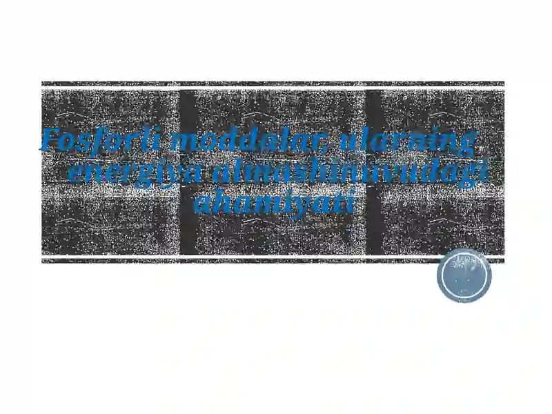 Fosforlimoddalar