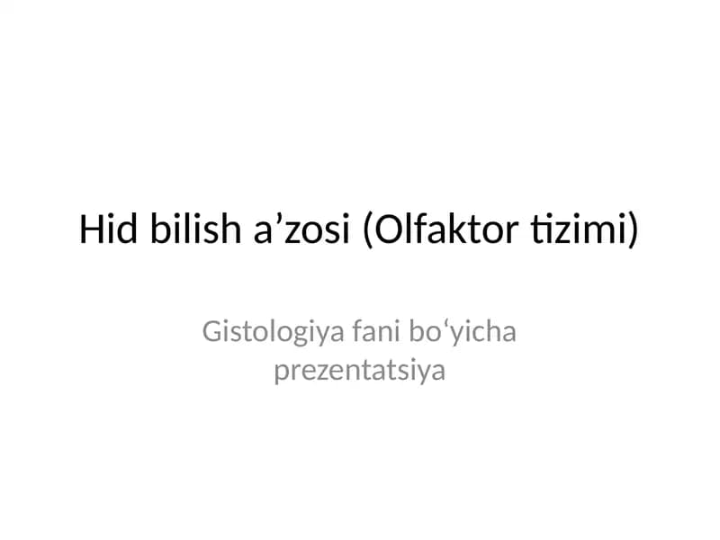 Hid bilish a’zosi (Olfaktor tizimi)