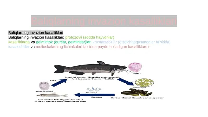 Baliqlarning invazion kasalliklari