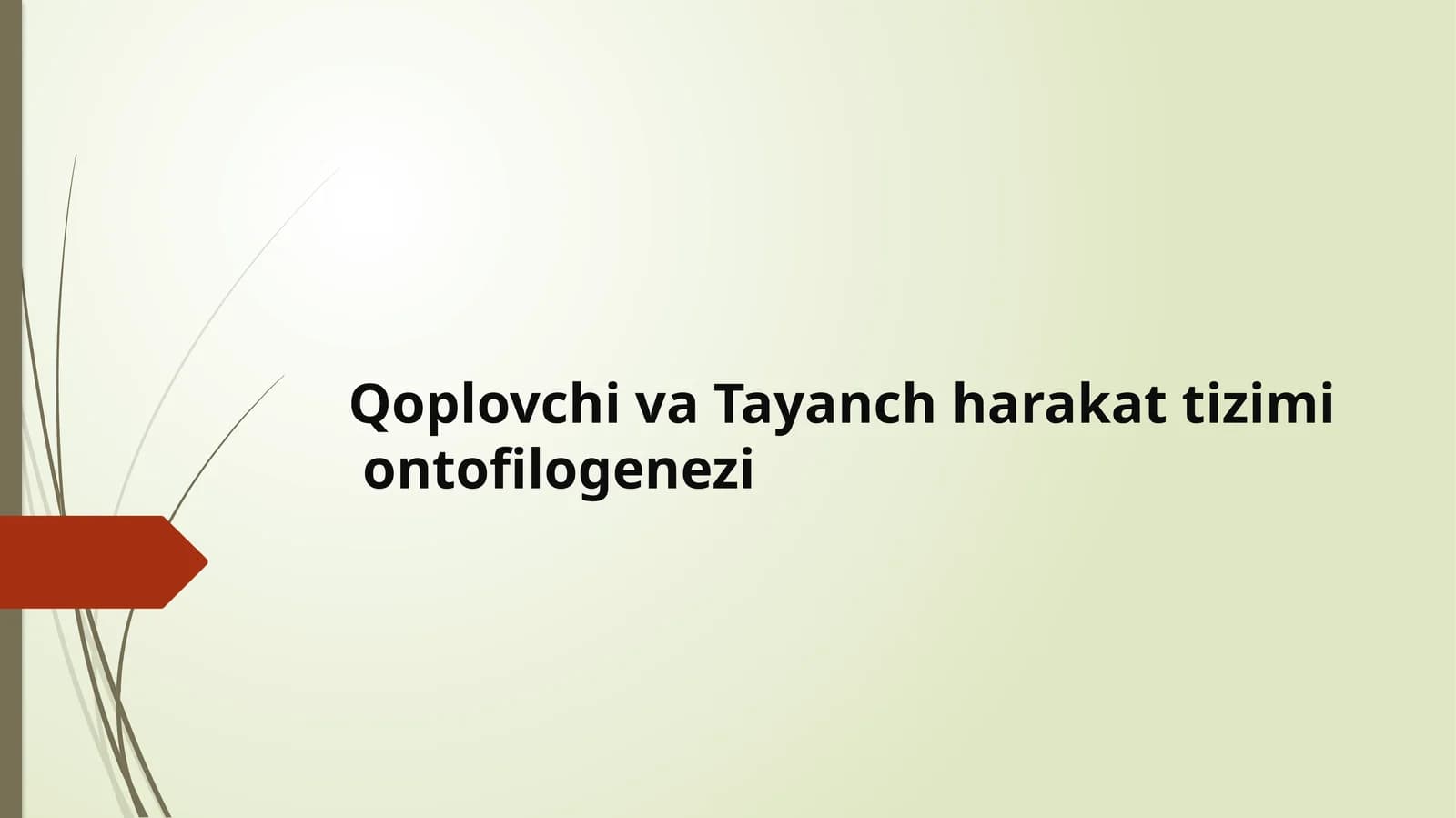 Qoplovchiva Tayanch harakat tizimi ontofilogenezi