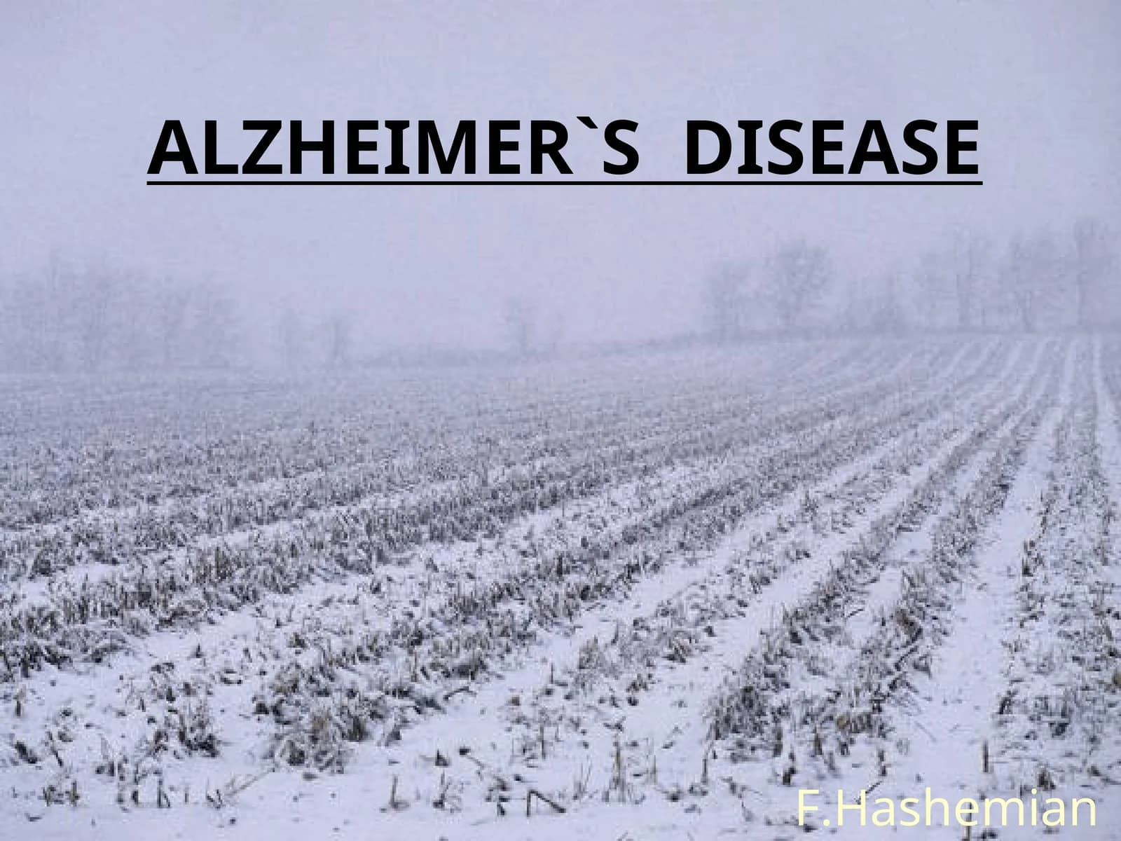 ALZHEIMER`S DISEASE