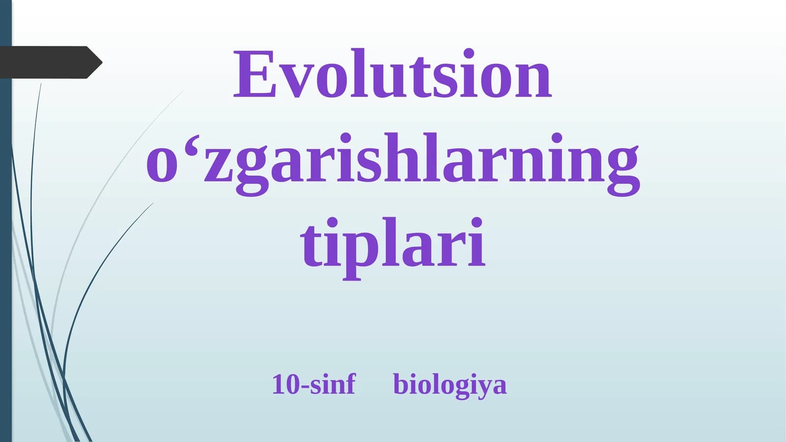 Evolutsion o‘zgarishlarning tiplari