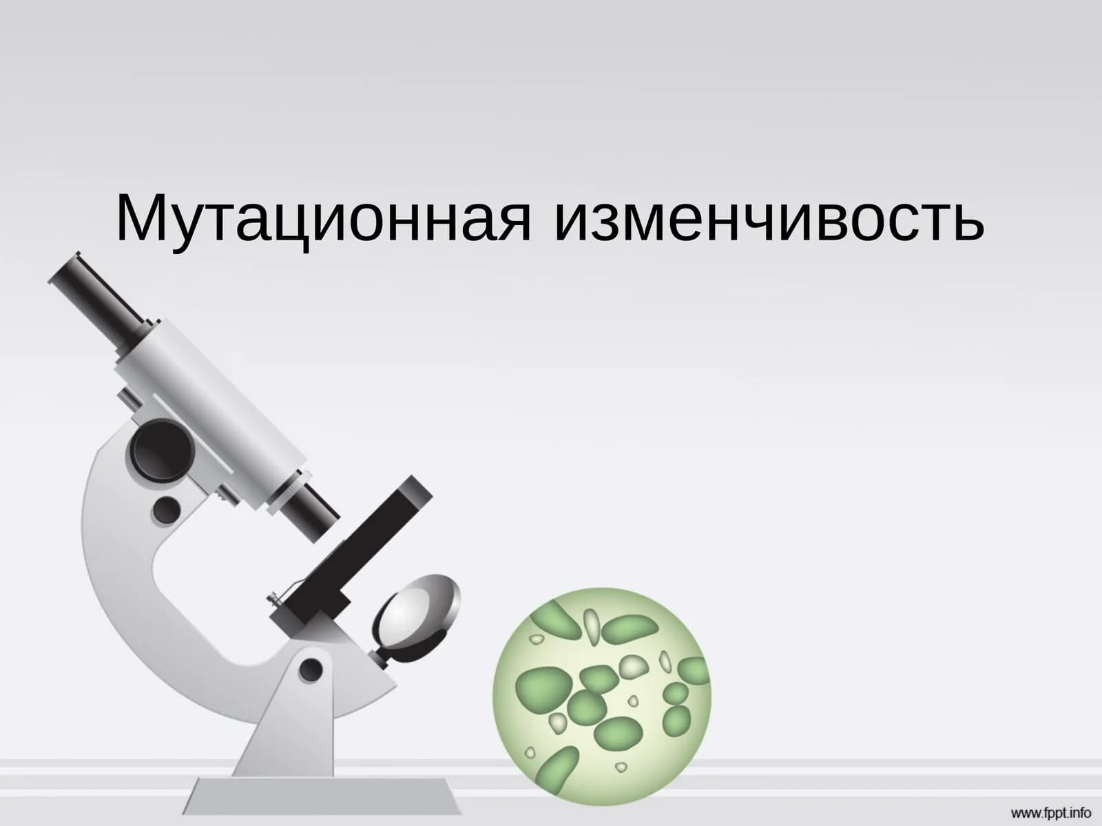 Мутационная изменчивость