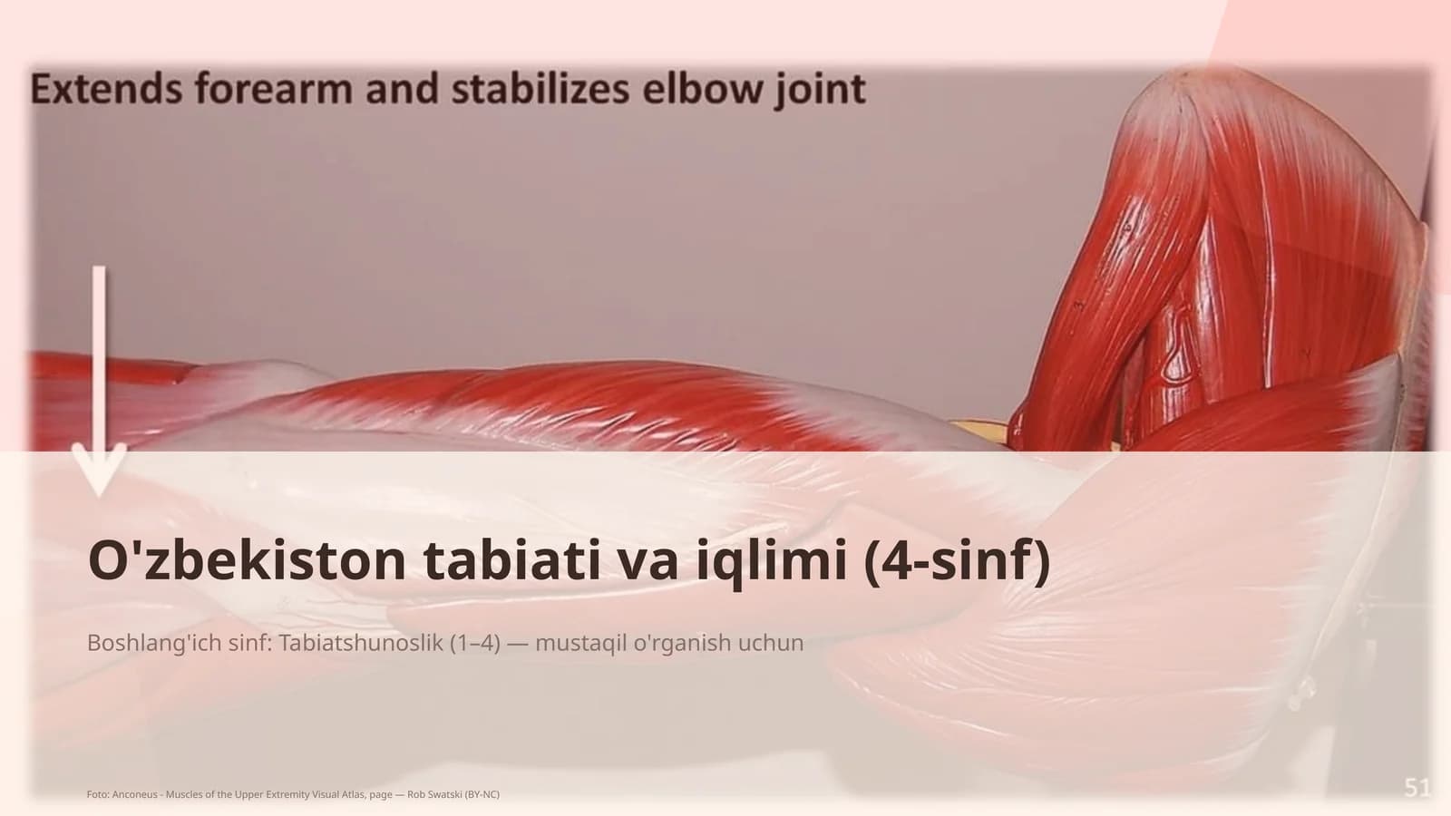 O'zbekiston tabiati va iqlimi (4-sinf)
