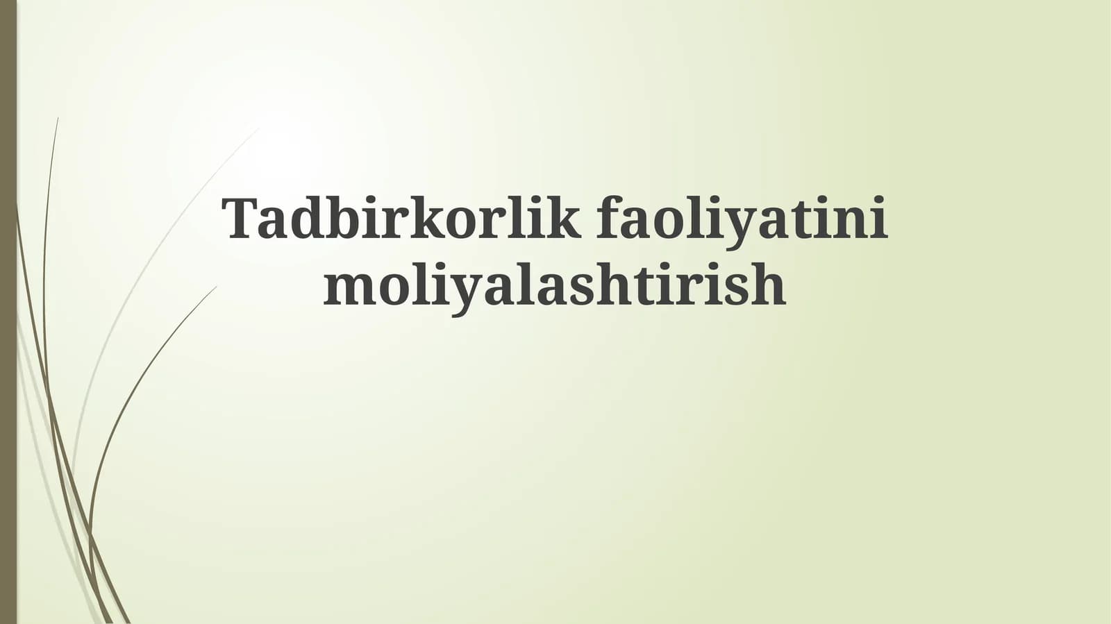 Tadbirkorlikfaoliyatinimoliyalashtirish