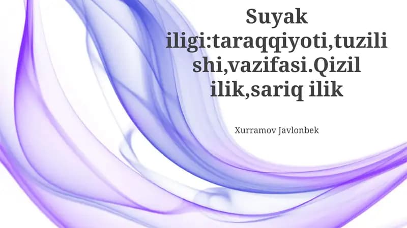 Qizil suyak ko'migining funktsiyalari