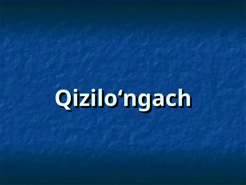 Qizilo‘ngach