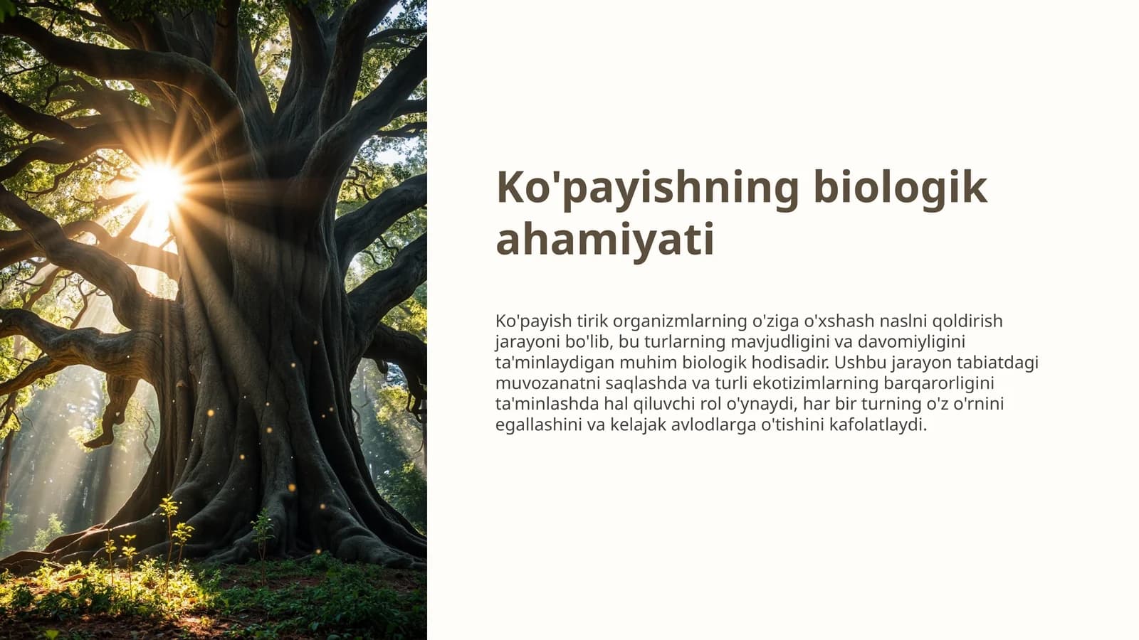 Ko'payishning biologik ahamiyati