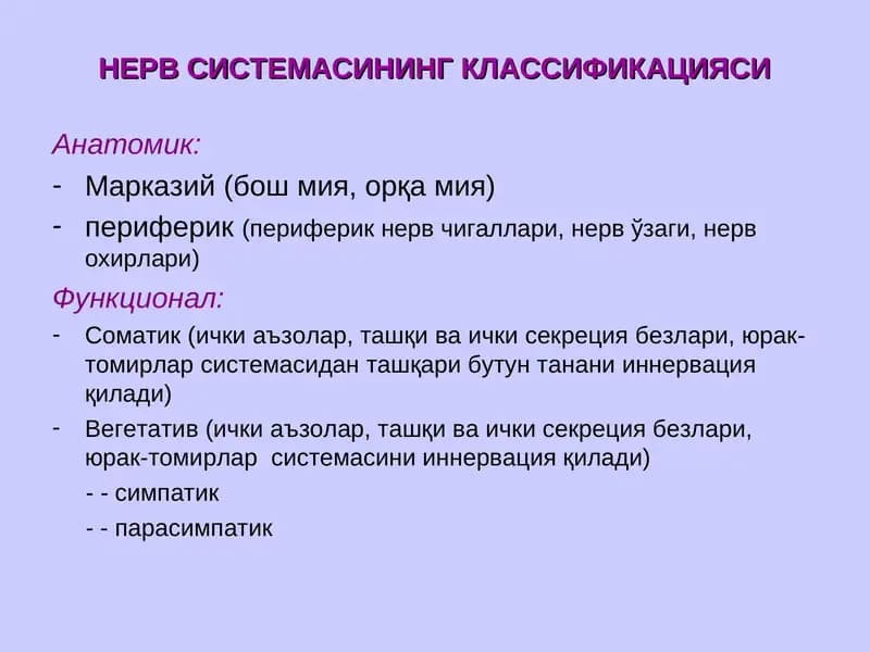НЕРВ СИСТЕМАСИНИНГ КЛАССИФИКАЦИЯСИ