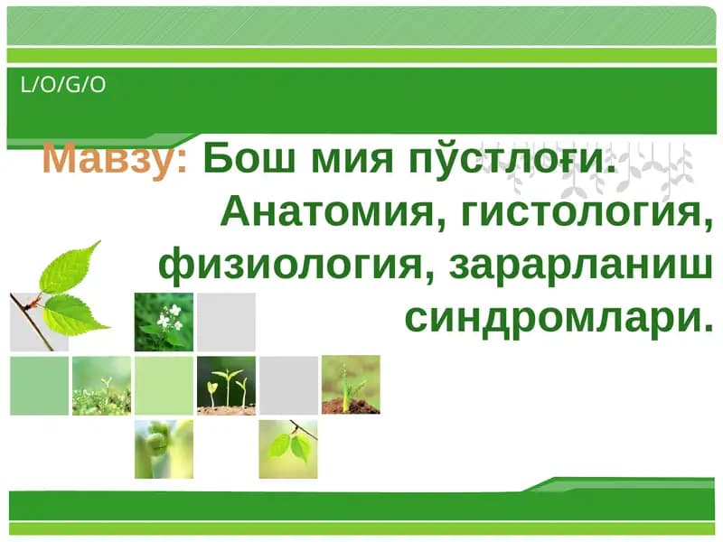 Бошмияпўстлоғи