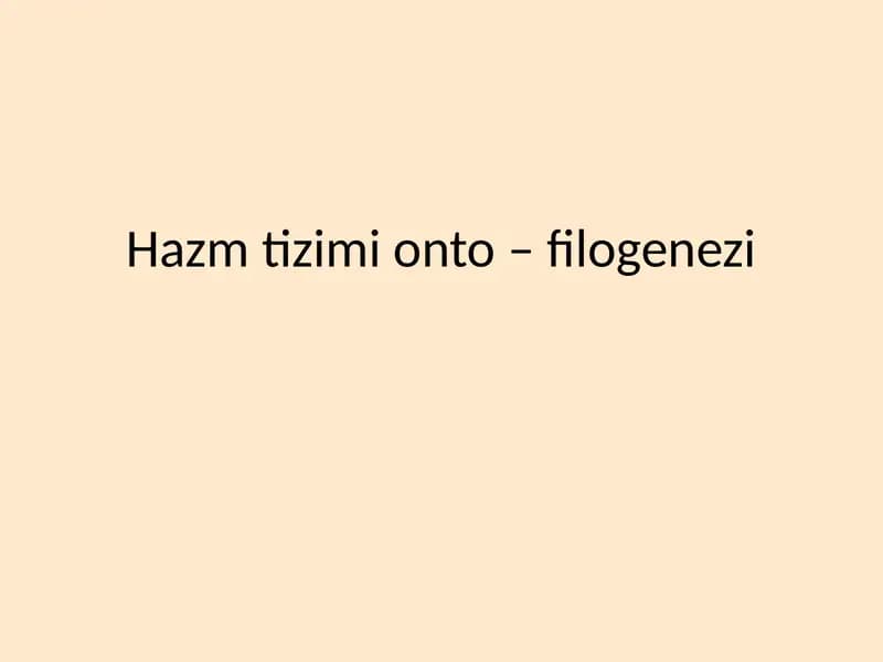 Hazm tizimi onto filogenezi