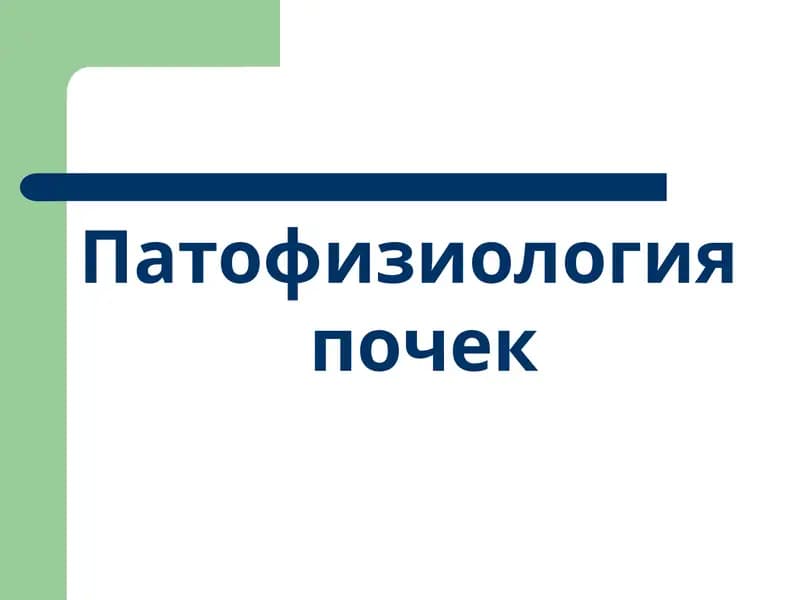 Патофизиология почек