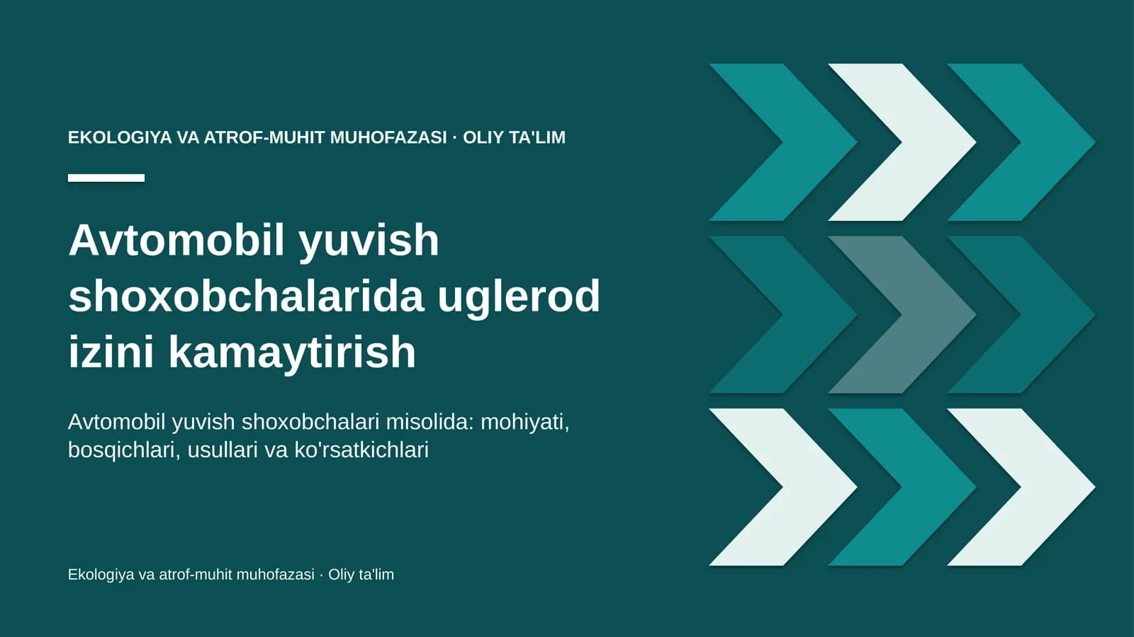avtomobil yuvish shoxobchalarida uglerod izini kamaytirish 6193