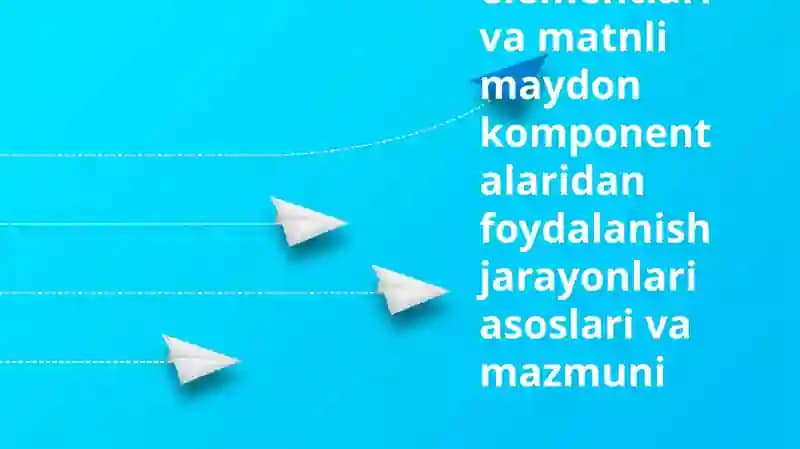 Boshqaruv Elementlari va Tekst Maydonlari