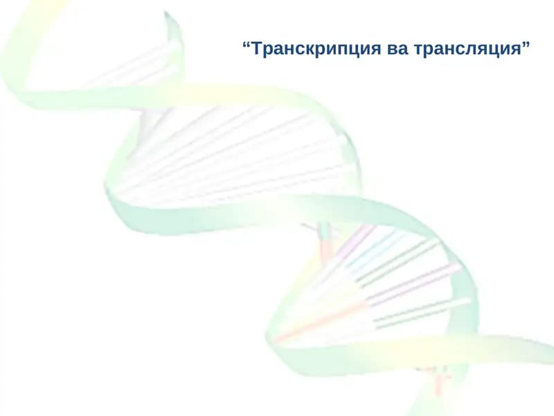 Транскрипция ва трансляция