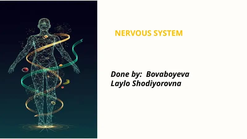 NERVOUS SYSTEM