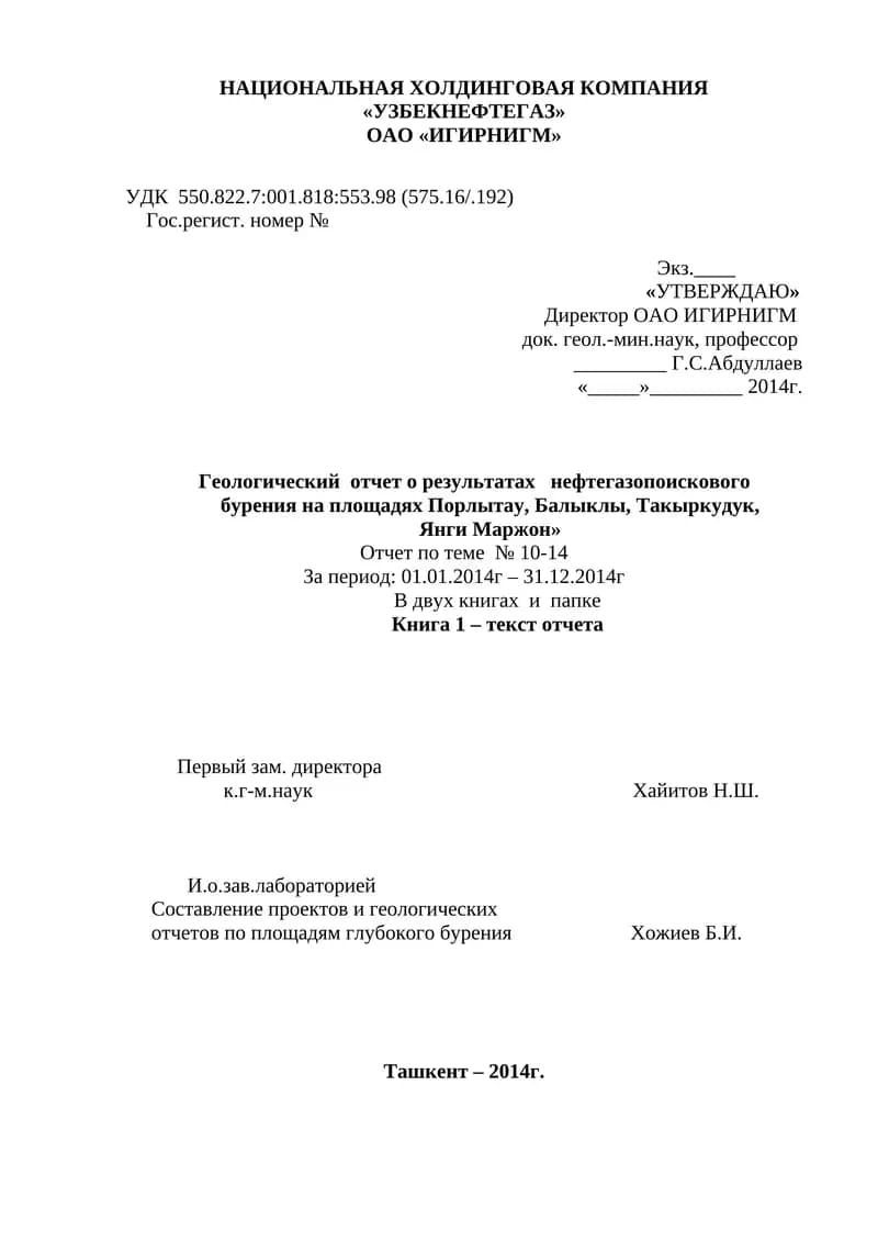 Геологический отчет о результатах нефтегазопоискового бурения