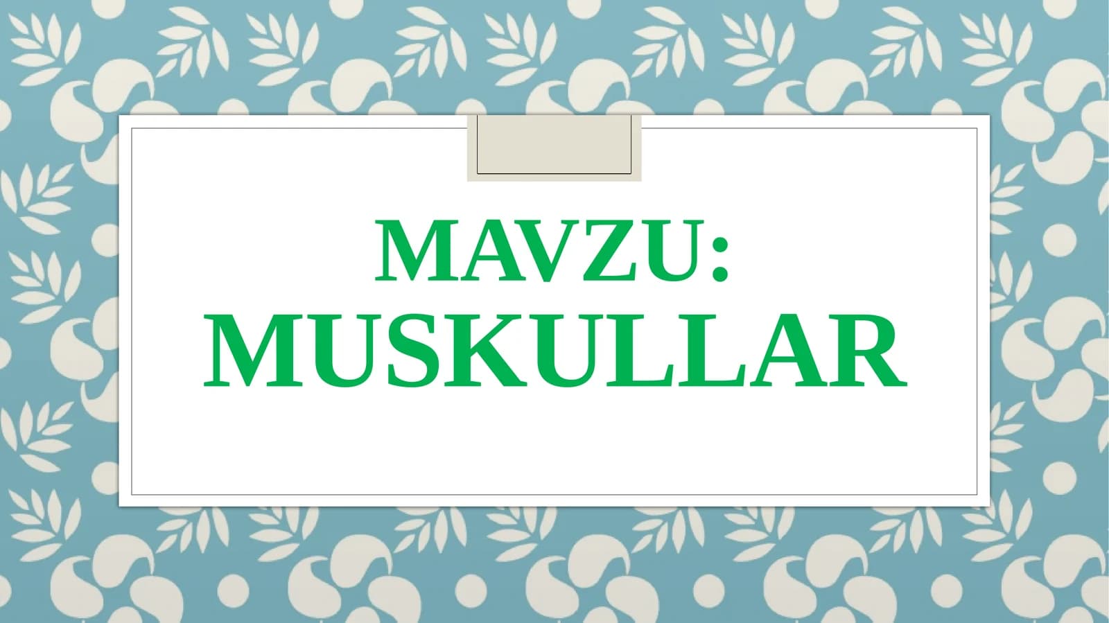 Muskullar