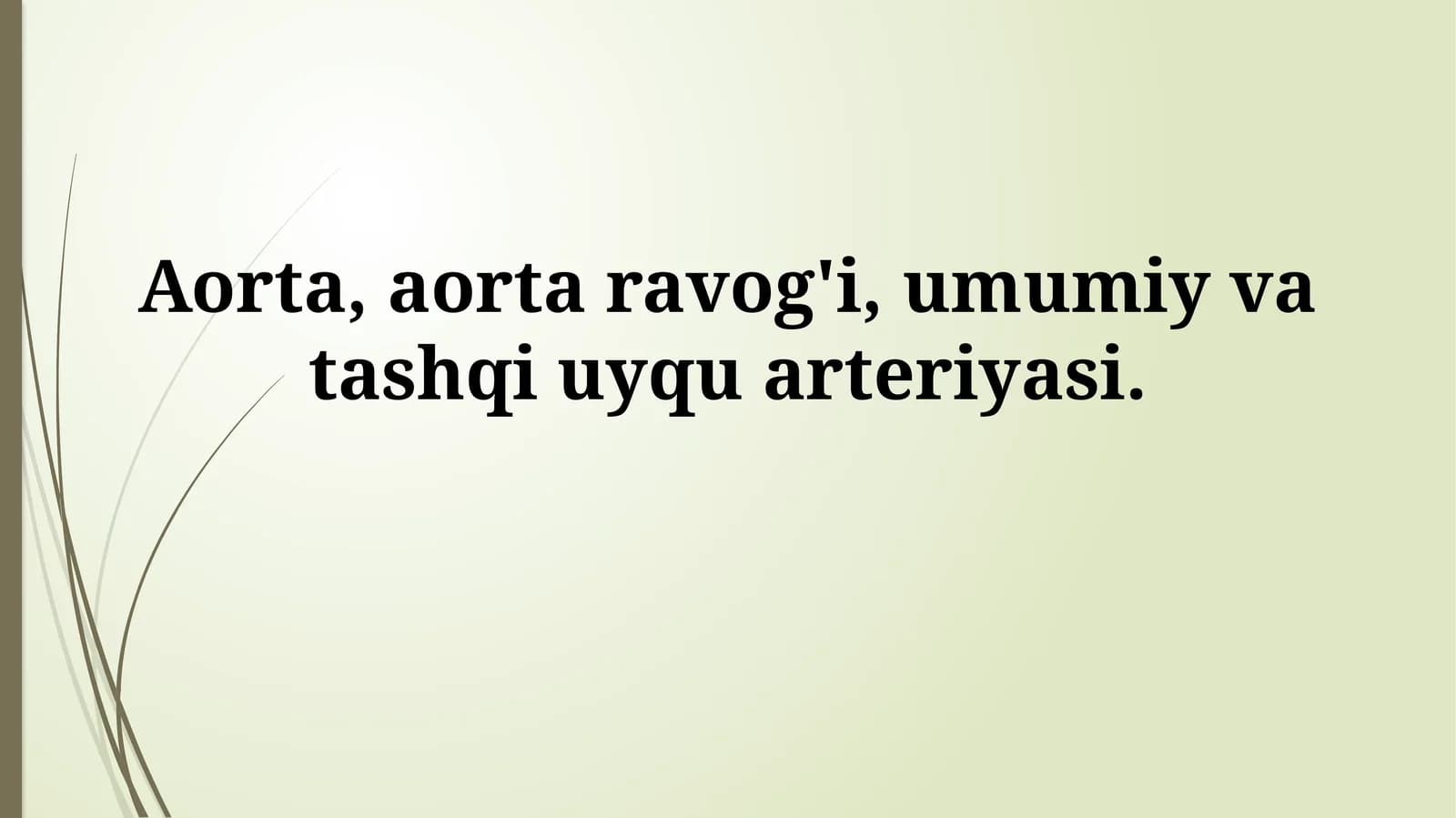 Aorta, aorta ravog'i, umumiy va tashqi uyquarteriyasi