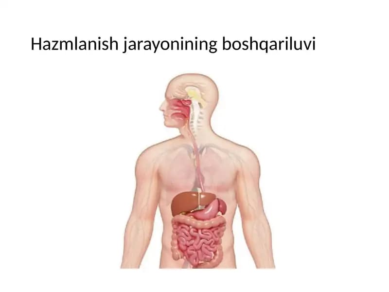 Hazmlanish jarayonining boshqariluvi