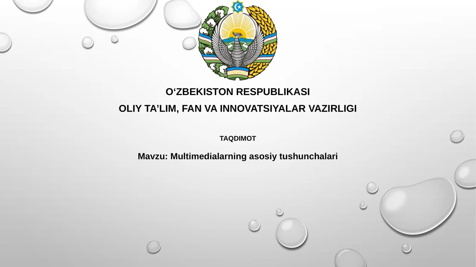 Multimedia texnologiyalari