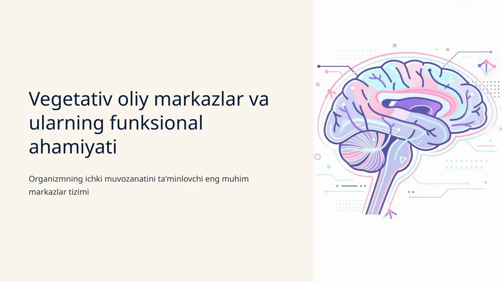 Vegetativ oliy markazlar va ularning funksional ahamiyati