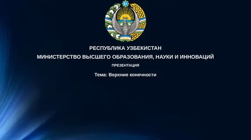 Верхниеконечности