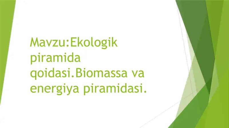 Ekologik piramida qoidasi.Biomassa va energiya piramidasi