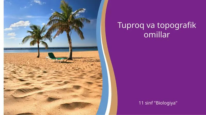 Tuproq va topografik omillar