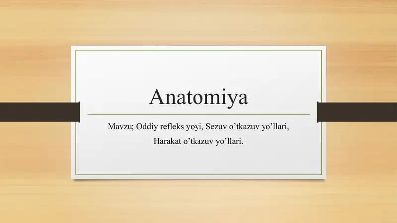 Anatomiya sezuv va harakat o'tkazuv yo'llari.
