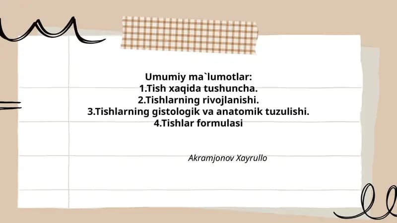 Tishlar haqida umumiy tushuncha