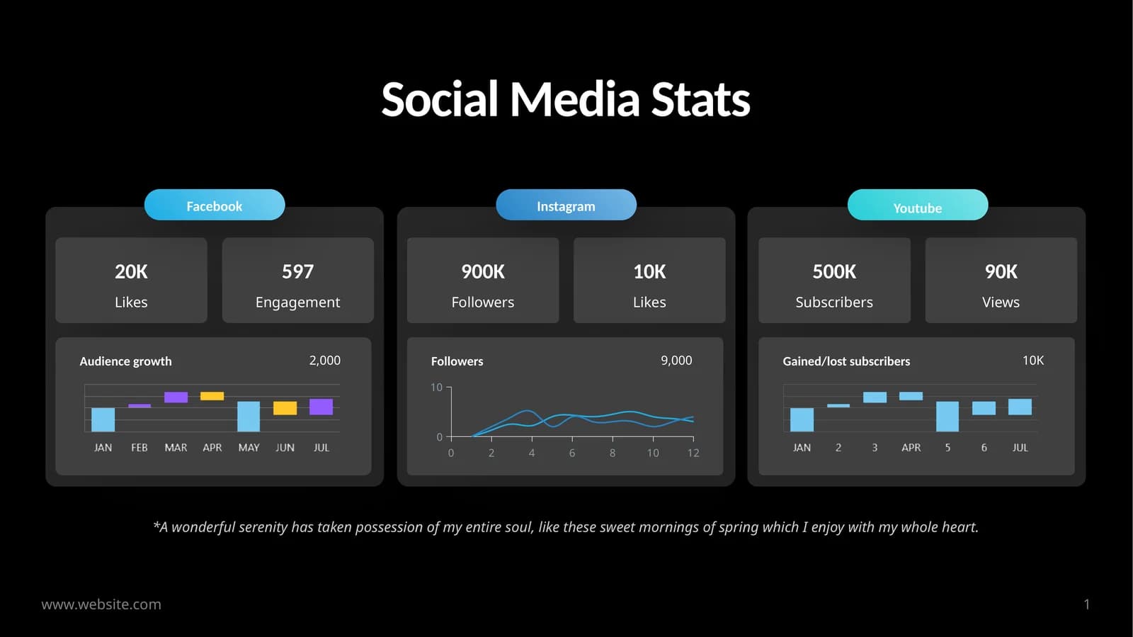 Social Media Stats