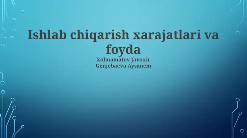 Ishlab Chiqarish Xarajatlari va Foyda