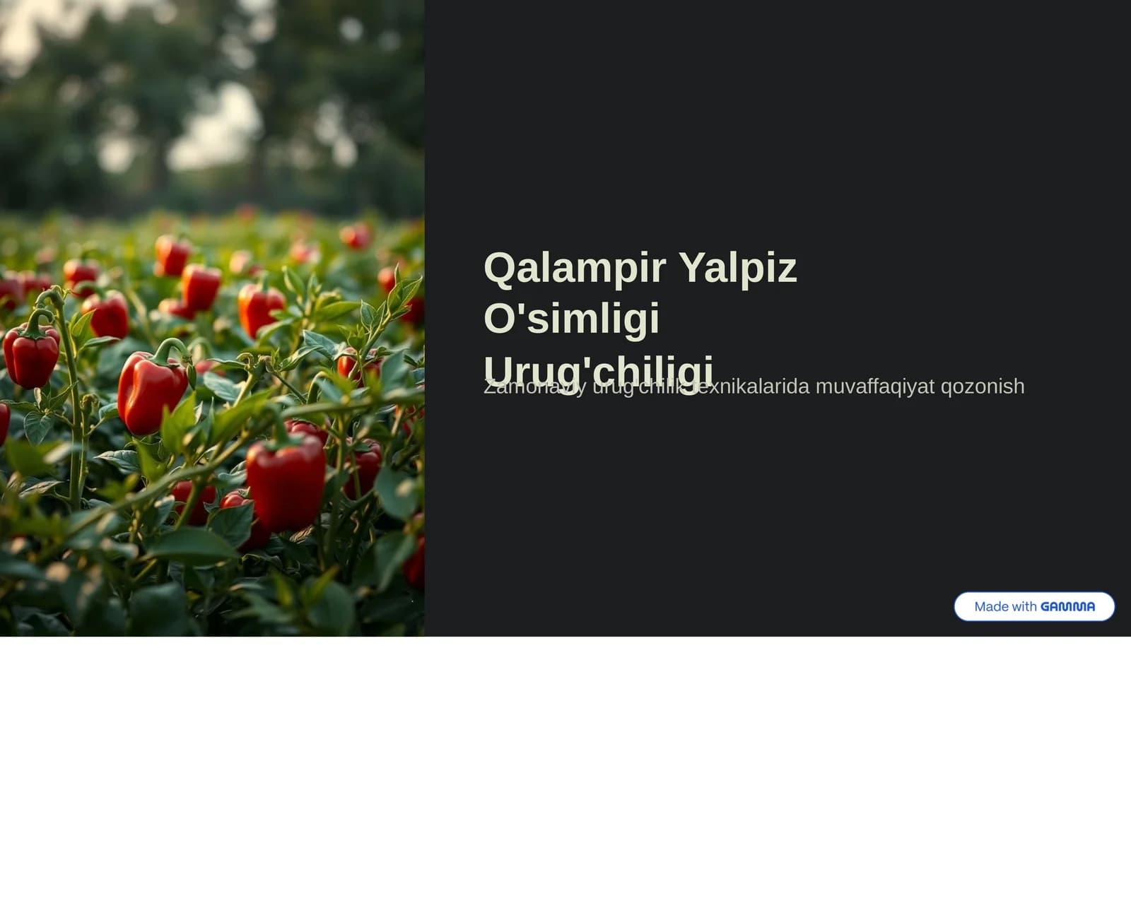 Qalampir Yalpiz O'simligi