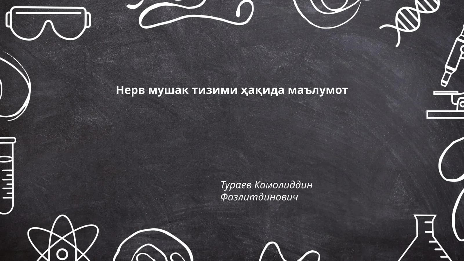 Нерв мушак тизими ҳақида маълумот