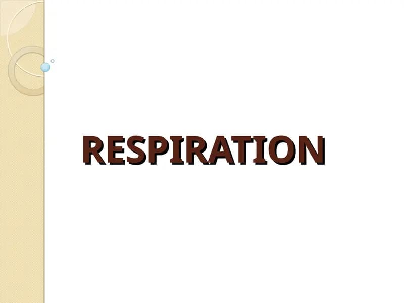 Respiration
