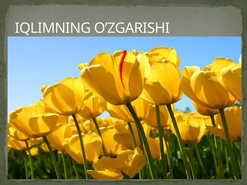 IQLIMNING O'ZGARISHI
