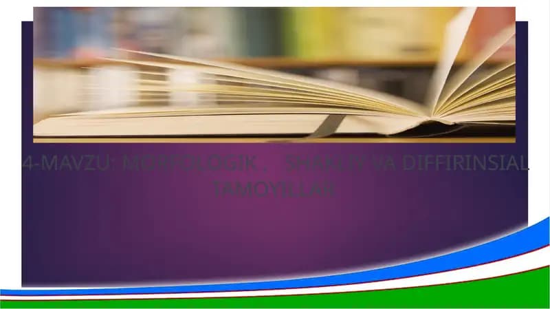 Morfologik tamoyil va uning xususiyatlari