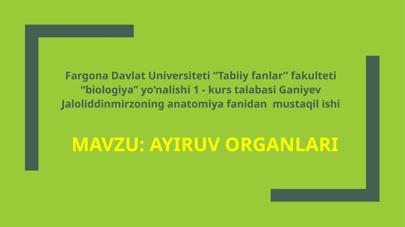 Ayiruvorganlari
