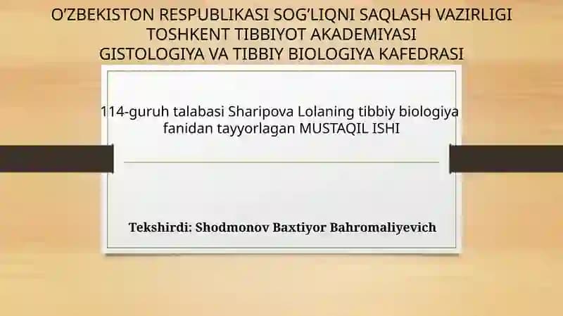 Yumaloqchuval changlar