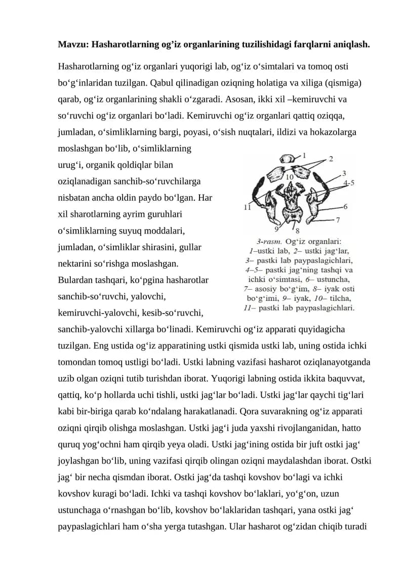 Hasharotlarning og’iz organlarining tuzilishidagi farqlarni aniqlash.