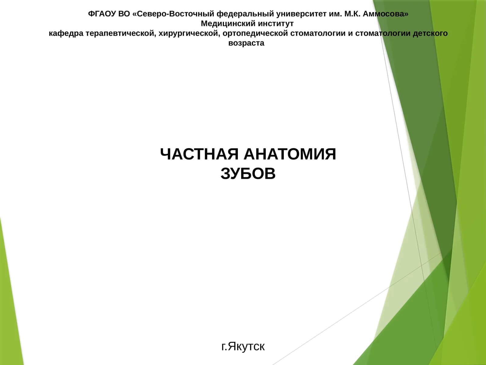 ЧАСТНАЯ АНАТОМИЯ ЗУБОВ