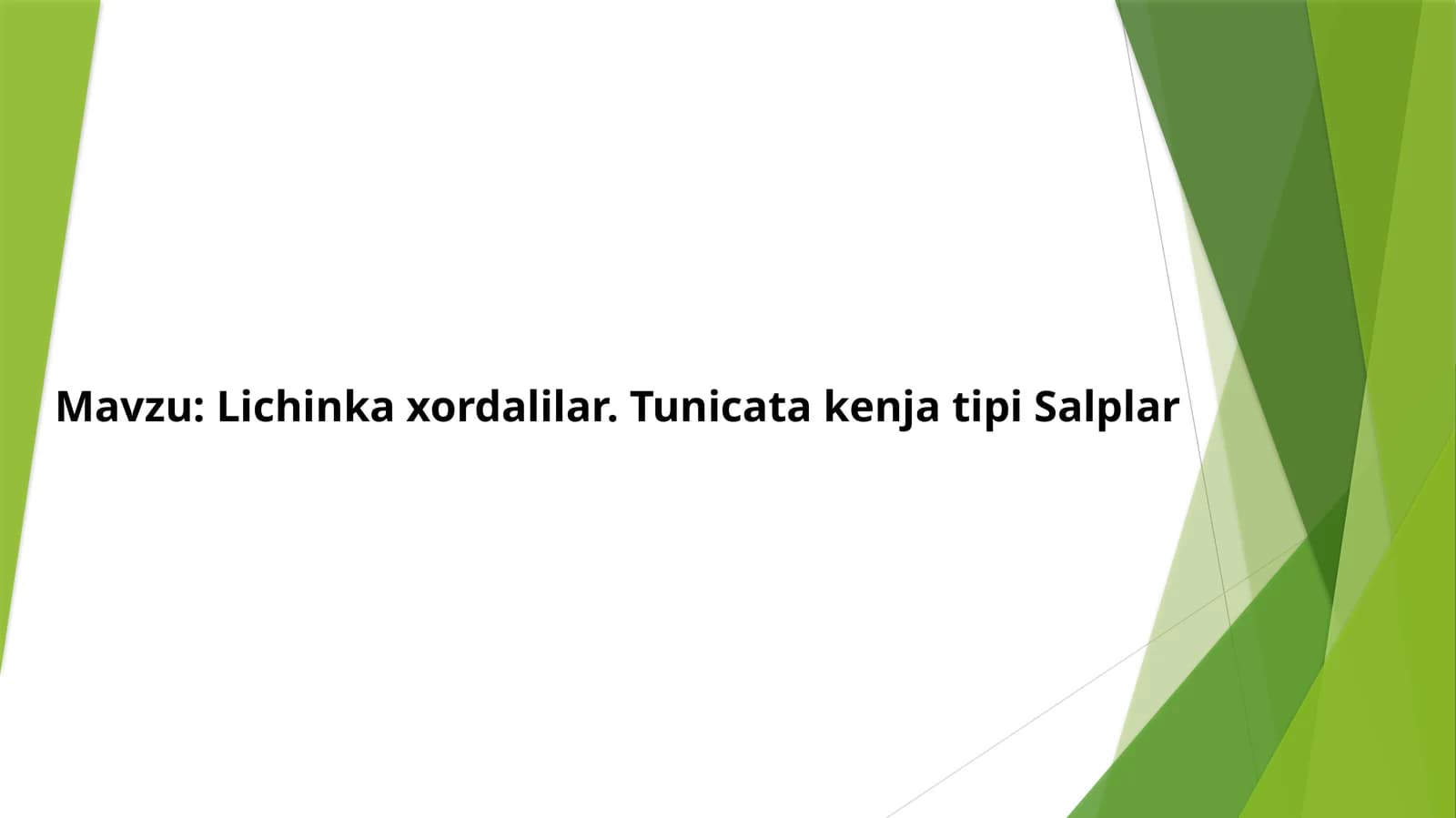 Lichinka xordalilar