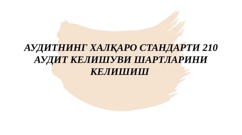 Аудитнинг Халқаро Стандарти210