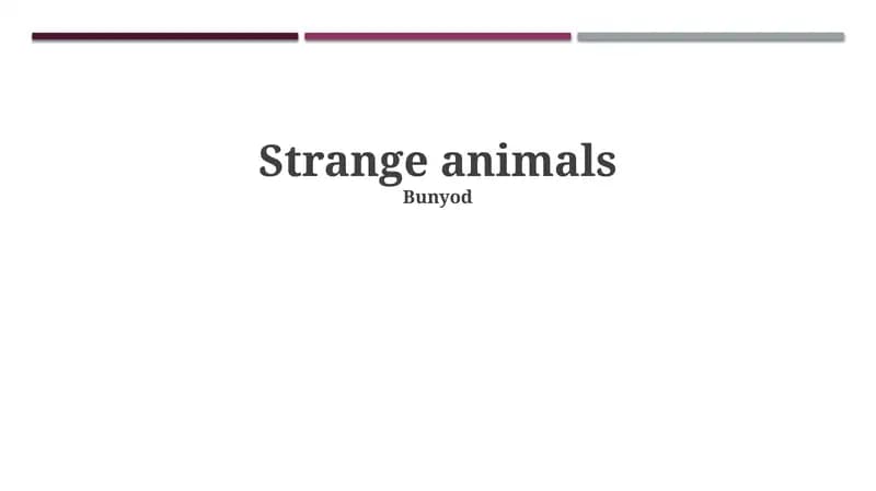Strange animals