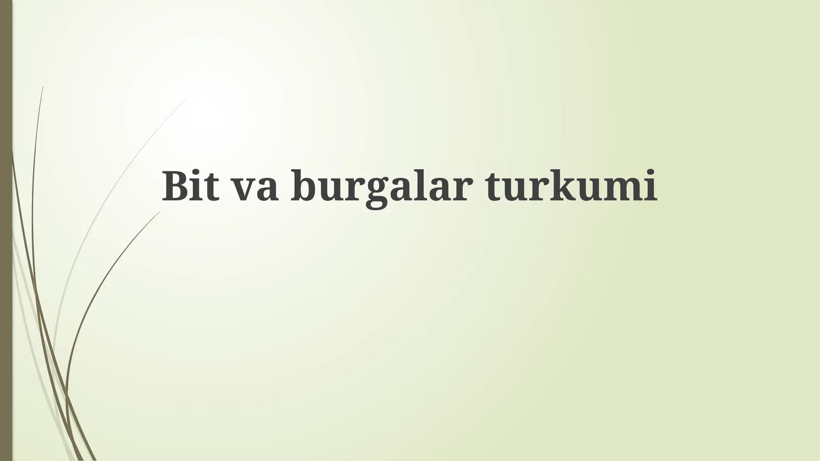 Bitlar va burgalar: umumiy ko'rinish
