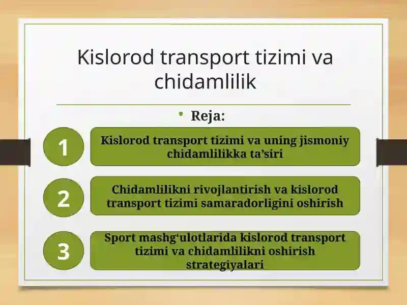 Kislorod Transport Tizimi va Chidamli