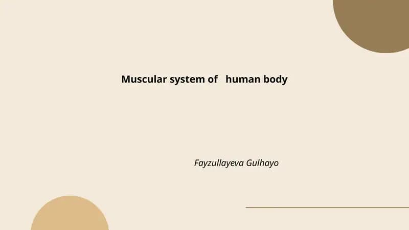 Muscular system of human body