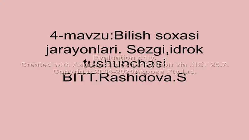 Bilish soxasi jarayonlari (4-mavzu)
